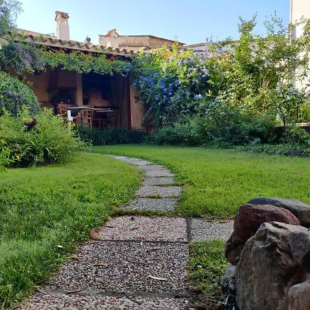 B&B Dimora Degli Ulivi-2