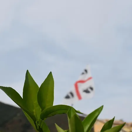 Sa Mariposa-2